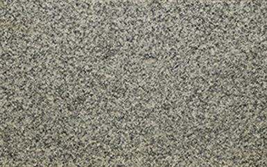 Salt N Pepper Granite Suppliers in Gujarat